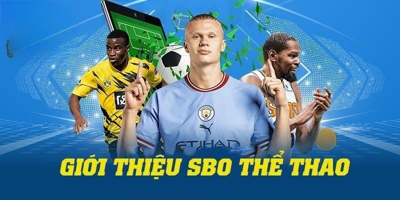 Giới thiệu về SBO thể thao 8Kbet